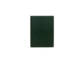 Raamatkalender MINISTER PVC Päev roheline 2912180003