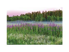 Seinakalender QUATTRO, avatud mõõt 297x760mm (PILT nr. 14) 00322/40502