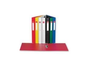 Binder Esselte, A4 / 35 mm, 2 rings, black