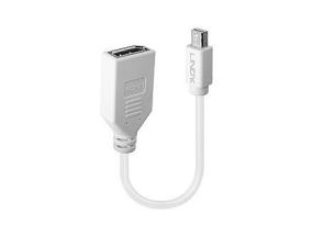 ADAPTER MINI DP TO DP/0.2M 41021 LINDY