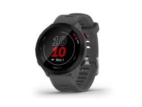 SMARTWATCH FORERUNNER 55/GREY 010-02562-13 GARMIN