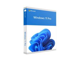 Software MICROSOFT Win Pro FPP 11 64-bit Eng Intl USB Win Pro Retail HAV-00163