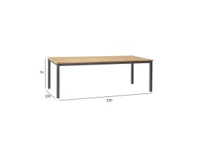 Laud MONTANA 220x100xH76cm, tiikpuu