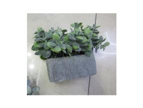 Kunsttaim GREENLAND potis, hall kivi