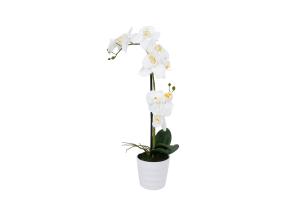 Valge orhidee 2 oksaga IN GARDEN, H51cm, valge pott