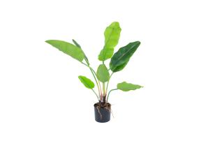 Kunsttaim GREENLAND H78cm, "Strelitzia"