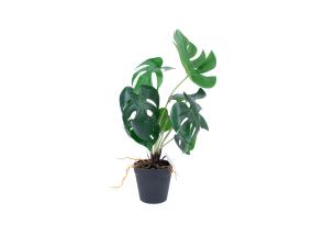 Kunsttaim GREENLAND H40cm, "Monstera"
