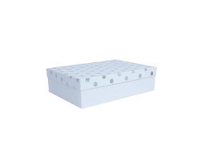 Box ELSA 33x23,5x9cm, with a lid kuld/hõbe, white