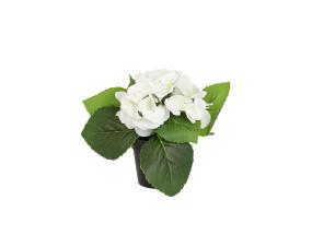 Kunstlill IN GARDEN H18cm, valge hortensia potis