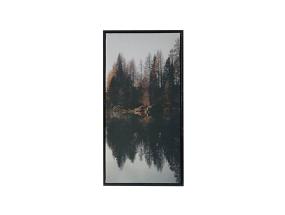 Seinapilt WALLY 30x60cm, mets C