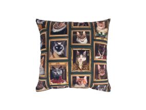 Padi HOLLY 45x45cm, lukuga, kassid raamis, 100% puuvill, kangas 439 