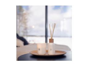 Kodulõhnastaja RENTO BIRCH, 100ml