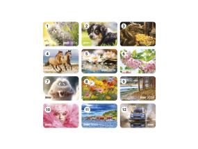 Taskukalender  291447000*