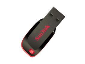 Mälupulk SANDISK Cruzer Blade (16 GB)
