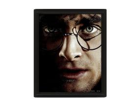 Harry Potter vs Voldemort, 20x25 cm, 3D - Plakat