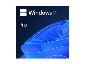 Microsoft Windows 11 Pro 64bit DVD ENG
