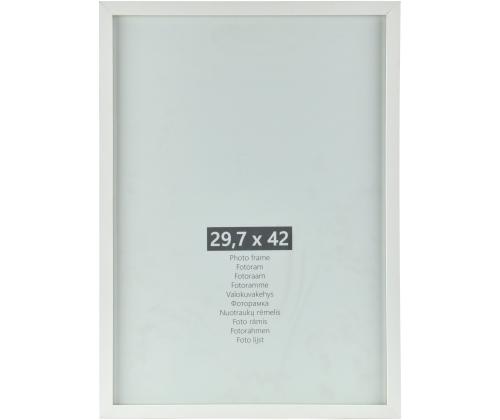 RAPIL404171
