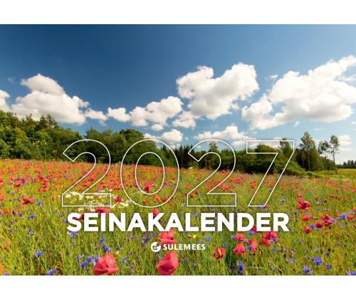 Seinakalender, tavaline A4, klamberköide 00330