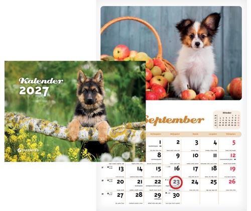 Seinakalender Kutsukalender 00361