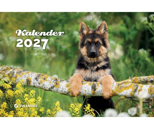Seinakalender Kutsukalender 00361