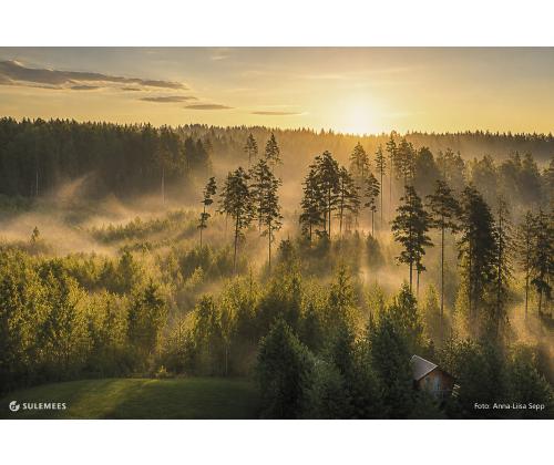 Seinakalender TRIO, avatud mõõt 297x630mm (PILT nr. 12) 00321/40230