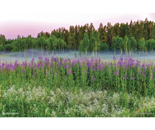 Seinakalender QUATTRO, avatud mõõt 297x760mm (PILT nr. 14) 00322/40502