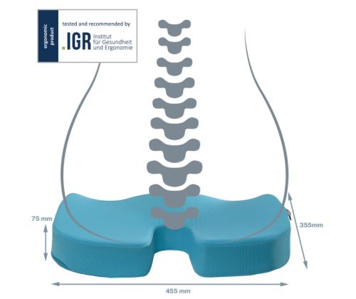 Istmepadi ergonoomiline LEITZ Cosy sinine