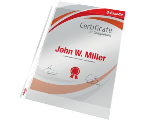 Kiletasku köidetav A4 ESSELTE 105mic ülevalt avatud kirgas 100tk