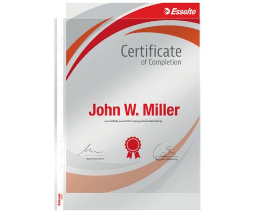 Kiletasku köidetav A4 ESSELTE 105mic ülevalt avatud kirgas 100tk