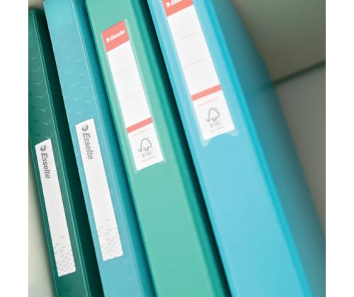 rõngaskaaned Esselte Colour´Ice A4 2R/25mm selg 42mm sinine	