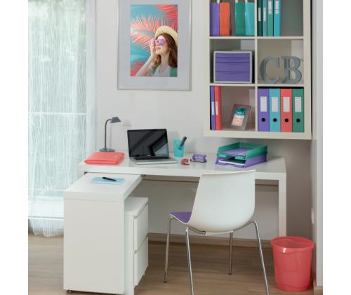 rõngaskaaned Esselte Colour´Ice A4 2R/25mm selg 42mm sinine	