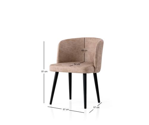 Mööblikomplekt toolid Zen - 4201 V4