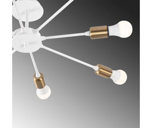 Ray - 1133