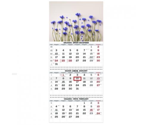 Wall Mounted Calendar 3 parts Trio 30x66cm.