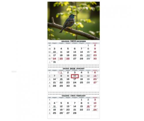 Wall Mounted Calendar 3 parts Trio 30x66cm.