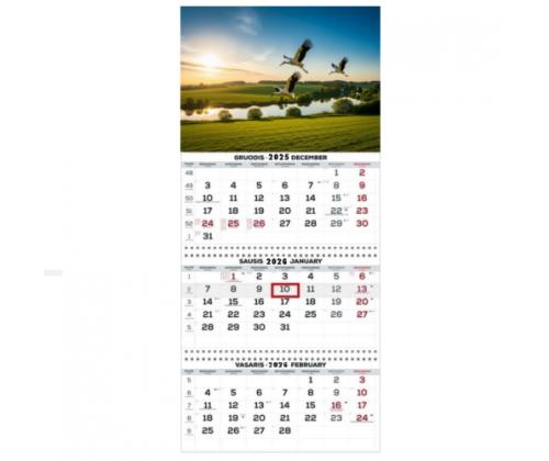 Wall Mounted Calendar 3 parts Trio 30x66cm