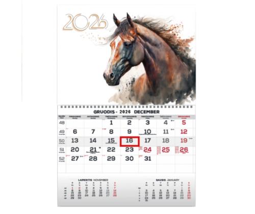 Wall Mounted Calendar Mono 30x43cm.