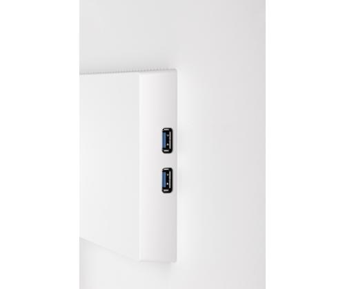 iiyama ProLite XUB2492HSU-W6 Monitor 24'' IPS, FHD 1920x1080, 0.4 ms, 250 cd/m2, 100 Hz, White