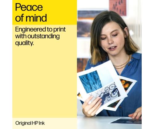 HP Ink No.301 XL Black (CH563EE)
