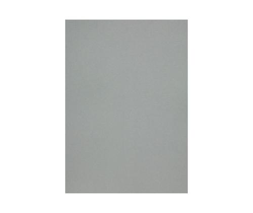 Dekoratiivpaber A4 120g CURIOUS Metallics Galvanised (408163) 50 lehte