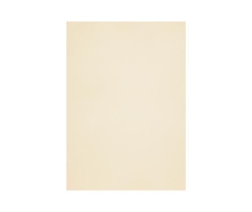 Dekoratiivpaber A4 120g CURIOUS White Gold (408160) 50 lehte