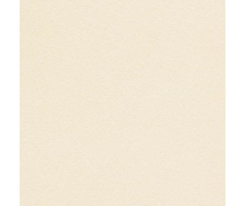 Dekoratiivpaber A4 250g CURIOUS White Gold 10 lehte (408261)