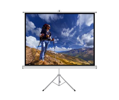 Ekraan jalgadel 170x127cm ART ER T84 43