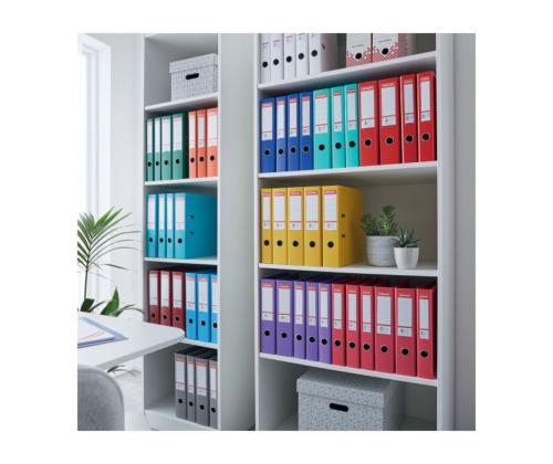 Registraator ESSELTE No.1 Power A4 50mm hall