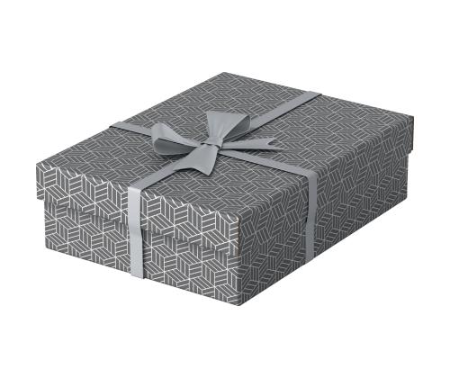 Hoiukast kaanega Esselte Home Storage Box (265 x 100 x 360 mm)