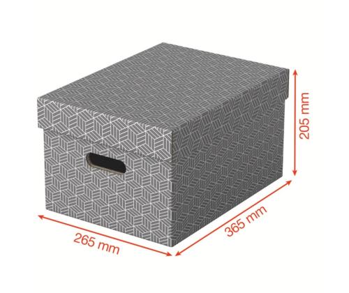 Hoiukast kaanega Esselte Home Storage Box Medium (265x205x365mm)