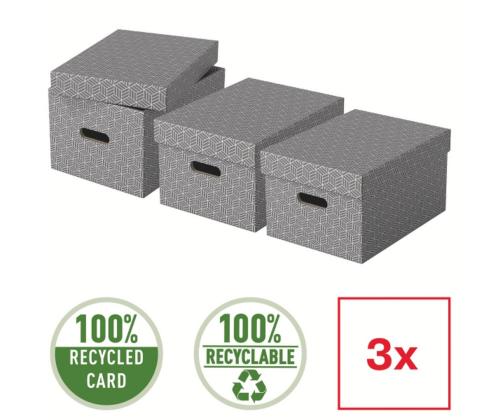 Hoiukast kaanega Esselte Home Storage Box Medium (265x205x365mm)