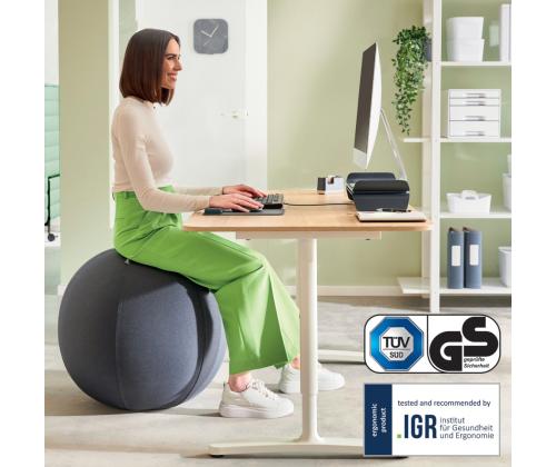 Istumispall ergonoomiline LEITZ Ergo Anti-roll-away 65cm tumehall