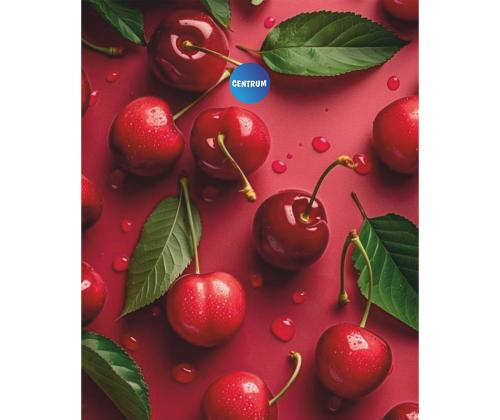 Kaustik klamberköites A5 CENTRUM 48 lehte jooneline