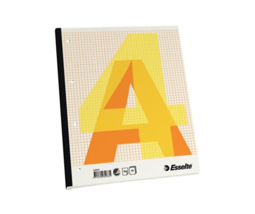 Kaustik liimköites A4 ESSELTE ruuduline augustusega 70 lehte
